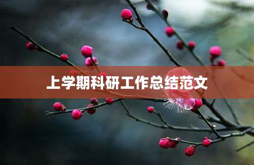 上学期科研工作总结范文