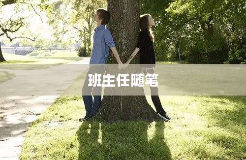 班主任随笔
