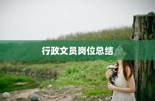 行政文员岗位总结