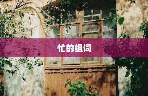 忙的组词