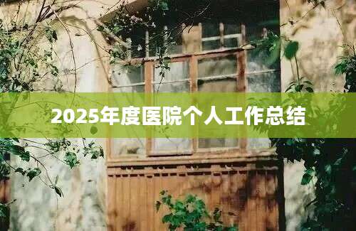 2025年度医院个人工作总结