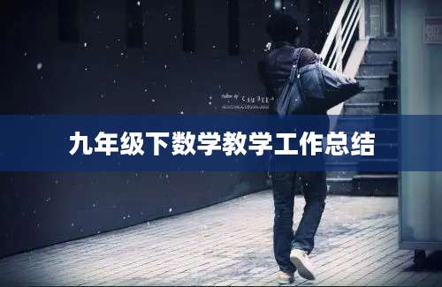 九年级下数学教学工作总结