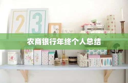农商银行年终个人总结