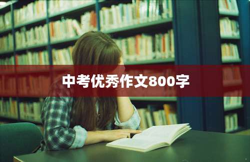 中考优秀作文800字