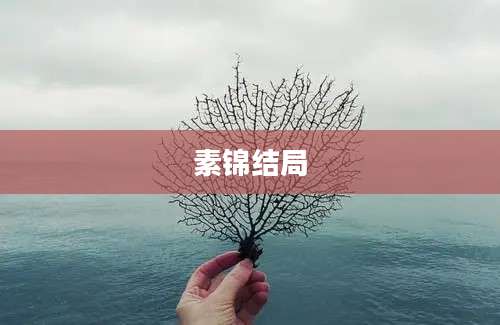 素锦结局