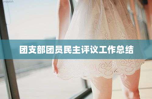 团支部团员民主评议工作总结