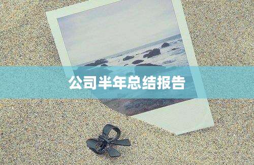 公司半年总结报告