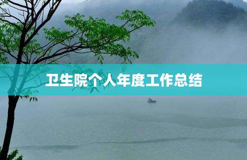 卫生院个人年度工作总结