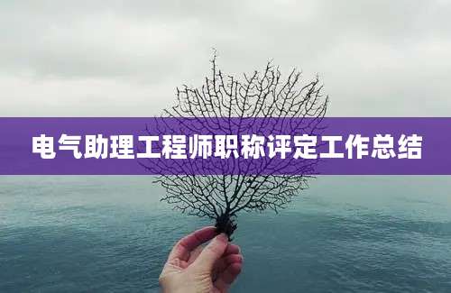 电气助理工程师职称评定工作总结
