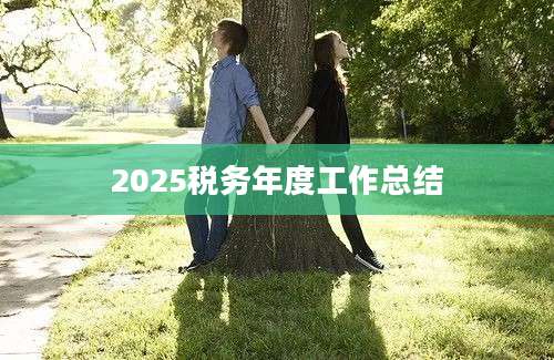 2025税务年度工作总结