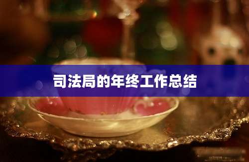 司法局的年终工作总结