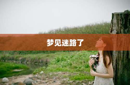 梦见迷路了