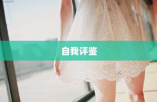 自我评鉴