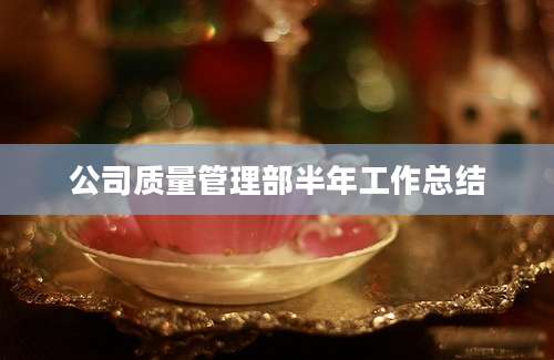 公司质量管理部半年工作总结