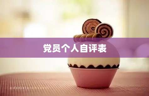党员个人自评表
