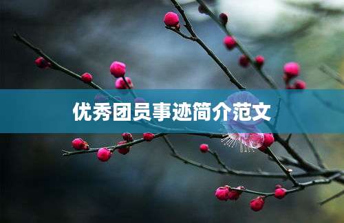 优秀团员事迹简介范文