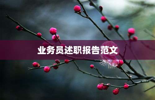 业务员述职报告范文