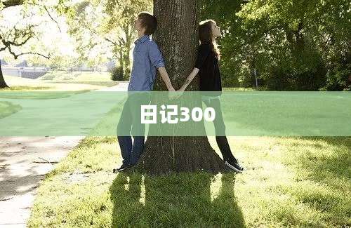 日记300