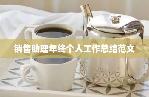 销售助理年终个人工作总结范文