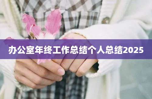 办公室年终工作总结个人总结2025