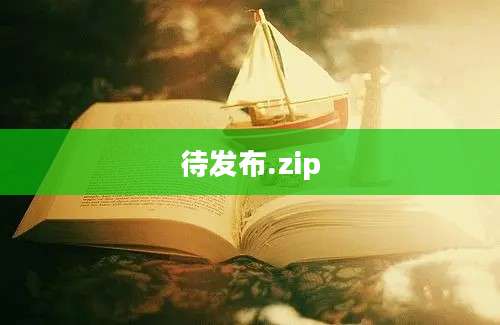 待发布.zip