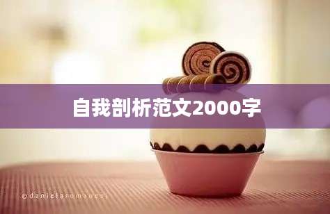 自我剖析范文2000字