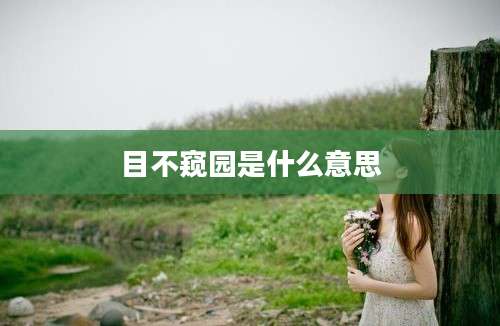 目不窥园是什么意思