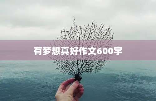 有梦想真好作文600字