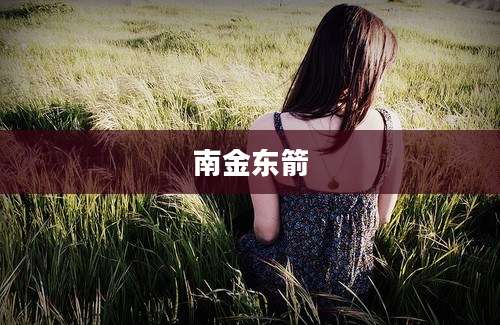 南金东箭