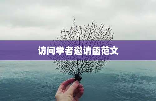 访问学者邀请函范文