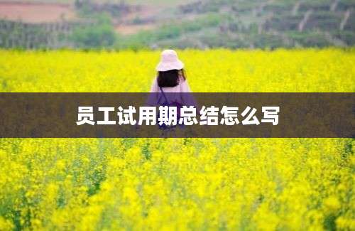 员工试用期总结怎么写