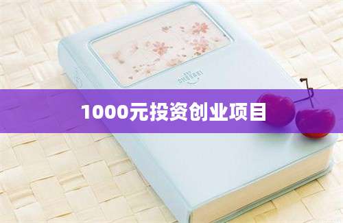 1000元投资创业项目