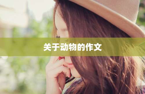 关于动物的作文