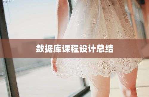 数据库课程设计总结