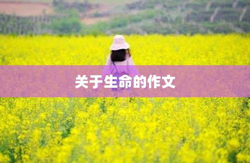 关于生命的作文