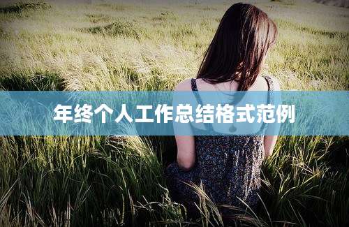 年终个人工作总结格式范例