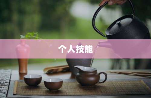 个人技能