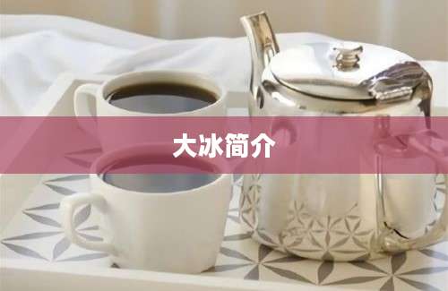 大冰简介