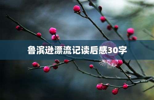 鲁滨逊漂流记读后感30字