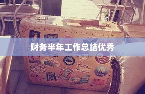 财务半年工作总结优秀