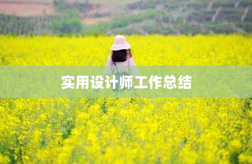 实用设计师工作总结