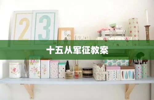 十五从军征教案