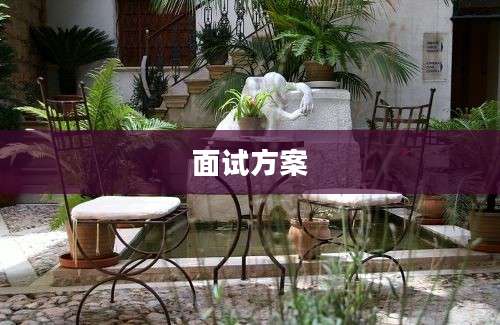 面试方案