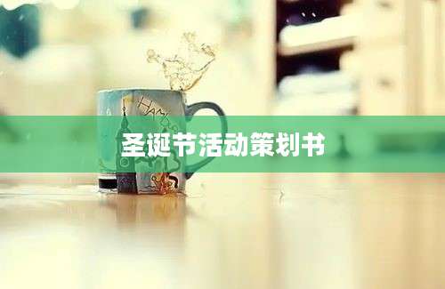 圣诞节活动策划书