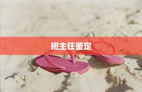 班主任鉴定