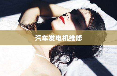 汽车发电机维修