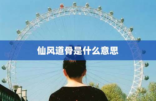 仙风道骨是什么意思