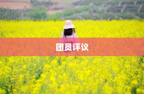 团员评议