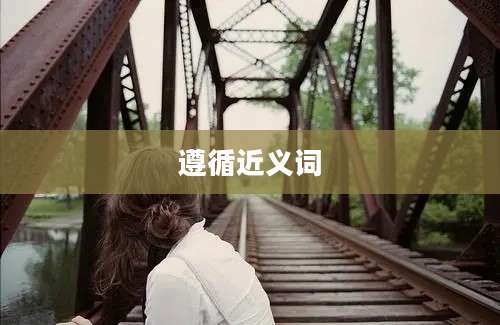 遵循近义词