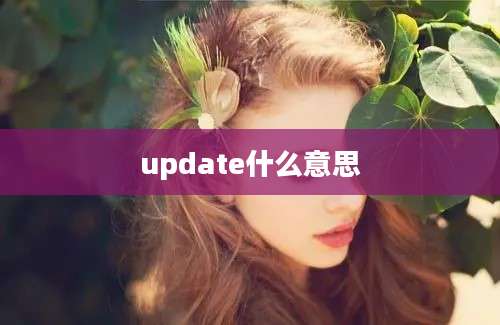 update什么意思